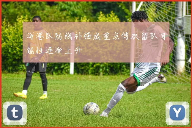 海港队防线补强成重点傅欢留队可能性逐渐上升